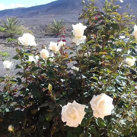 Country house Rosales