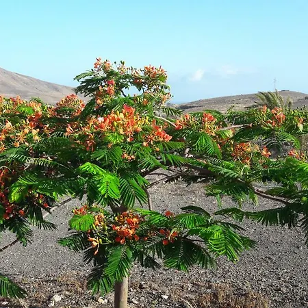 Rosales Country house La Lajita
