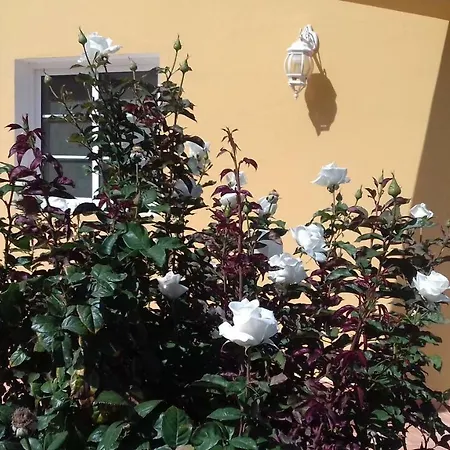 Rosales Country house