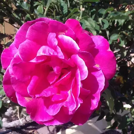 Rosales 컨트리하우스 Lajita