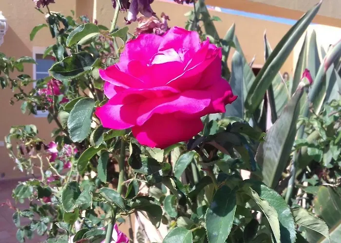 Séjour à la campagne Rosales